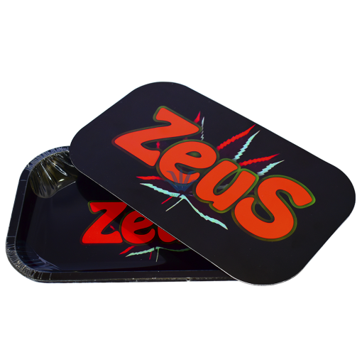 BANDEJA ZEUS CON TAPA 27x16CM