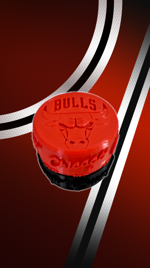 PICADOR WE3D CHICAGO BULLS - Image 2