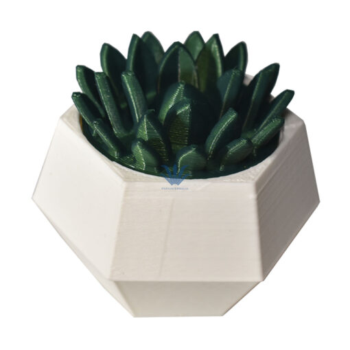 PICADOR PLASTICO CACTUS PIC.AR